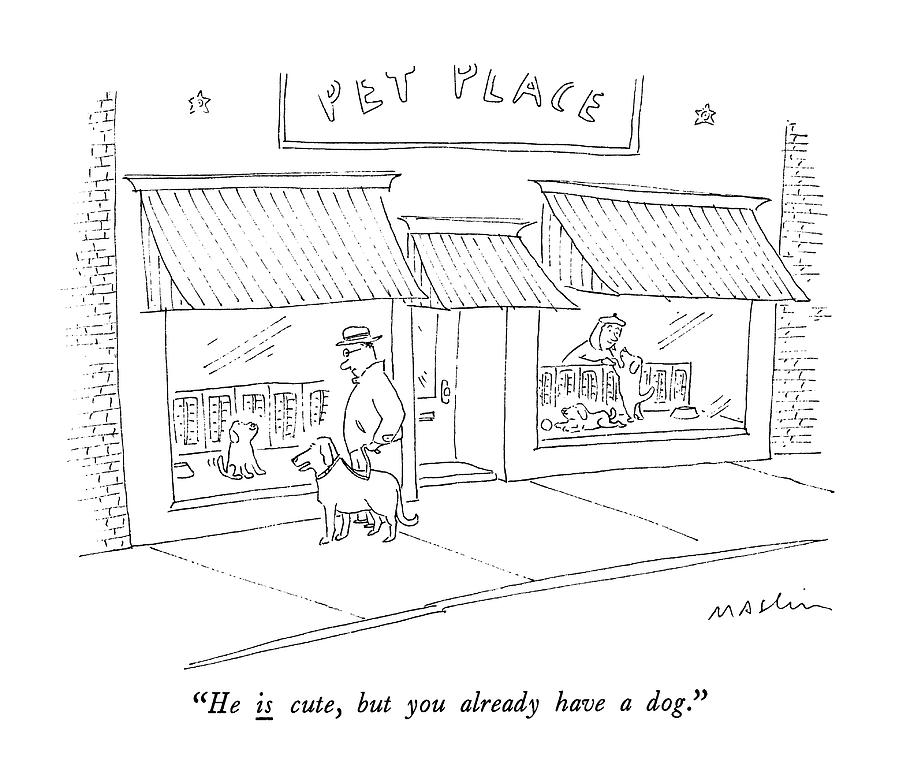 He Is Cute, But You Already Have A Dog Drawing by Michael Maslin