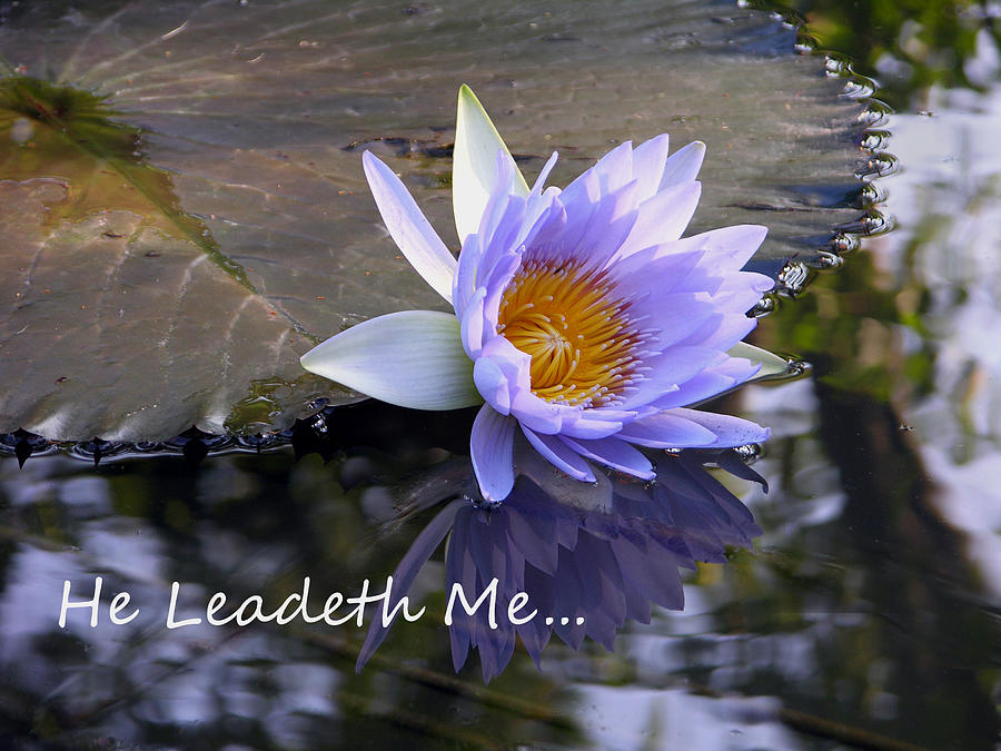 He Leadeth Me Photograph by John Lautermilch