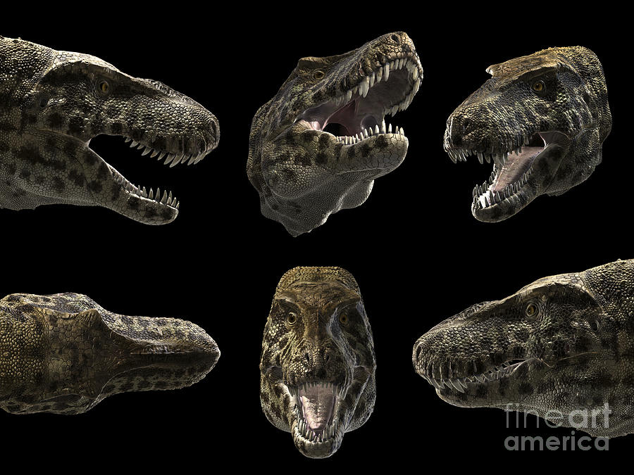 Head Detail Of Tyrannosaurus Rex Digital Art by Rodolfo Nogueira - Fine ...