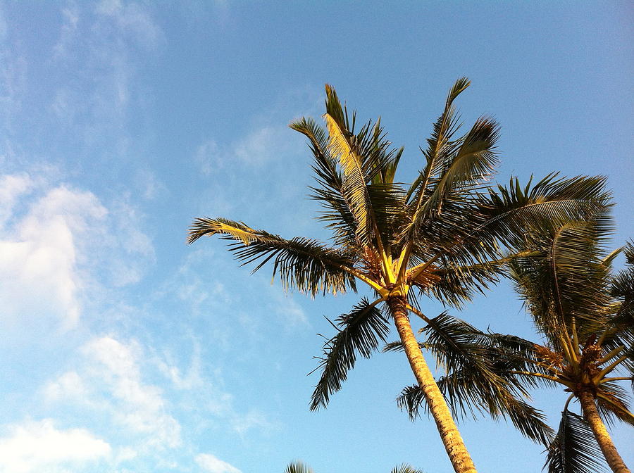 Head in the Clouds Photograph by Angela Bushman