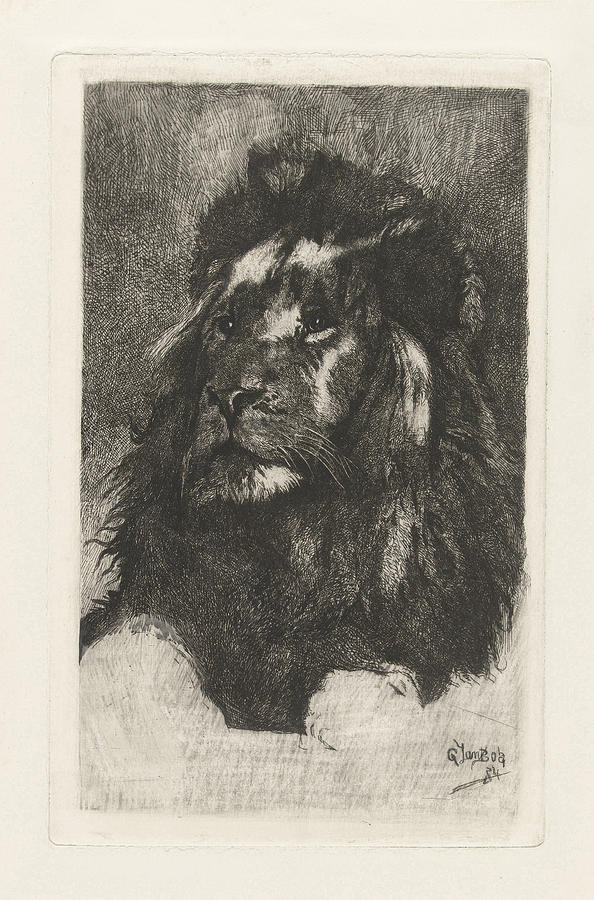 Lion Drawing - Head Of A Lion, Gerard Jan Bos by Quint Lox