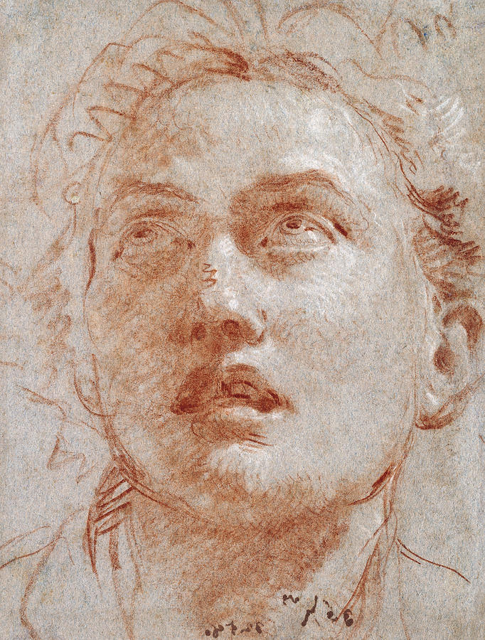 Head of a Man looking up Drawing by Giovanni Battista Tiepolo