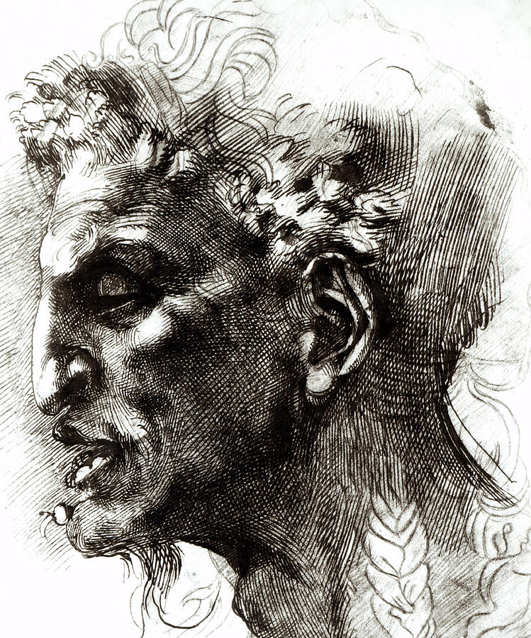 Head of a Satyr  Drawing by Michelangelo