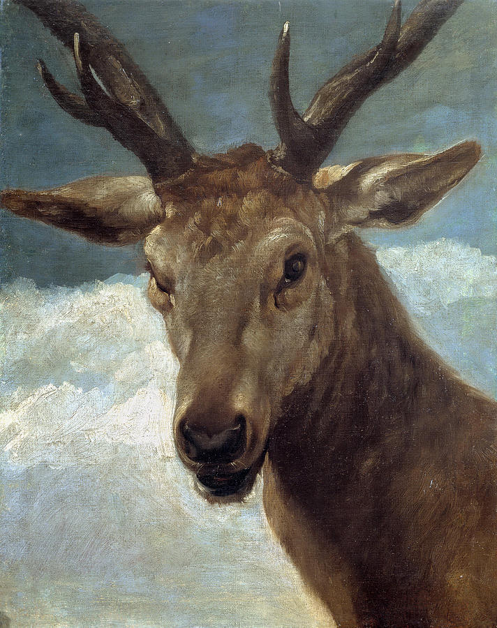 Head of a Stag Painting by Diego Velazquez