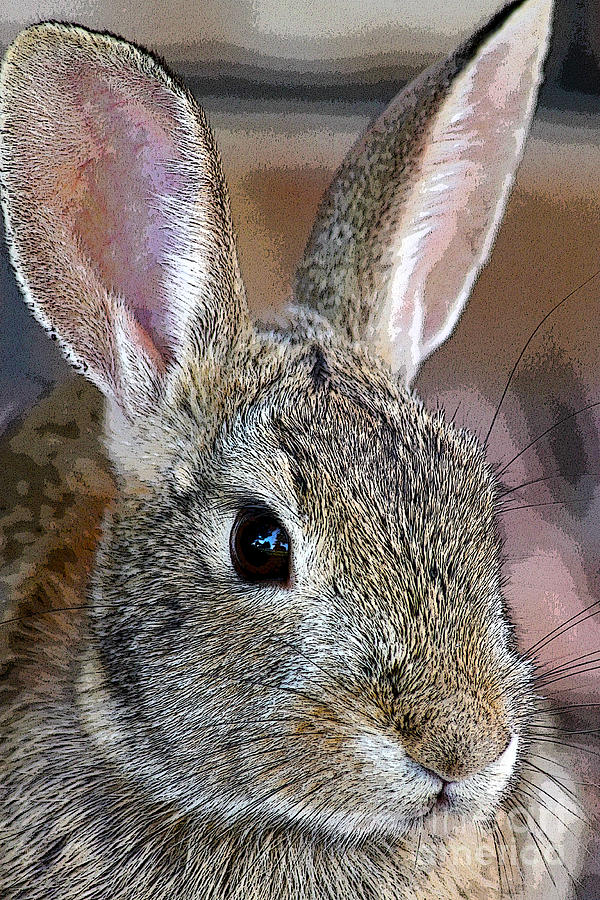 Head Of A Wild Rabbit Painting by Janice Rae Pariza