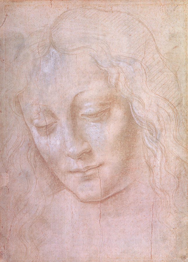 Head Of A Woman Drawing By Celestial Images 6992