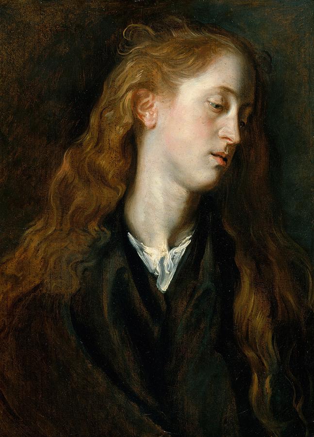 Head of a Young Woman Painting by Anthony van Dyck