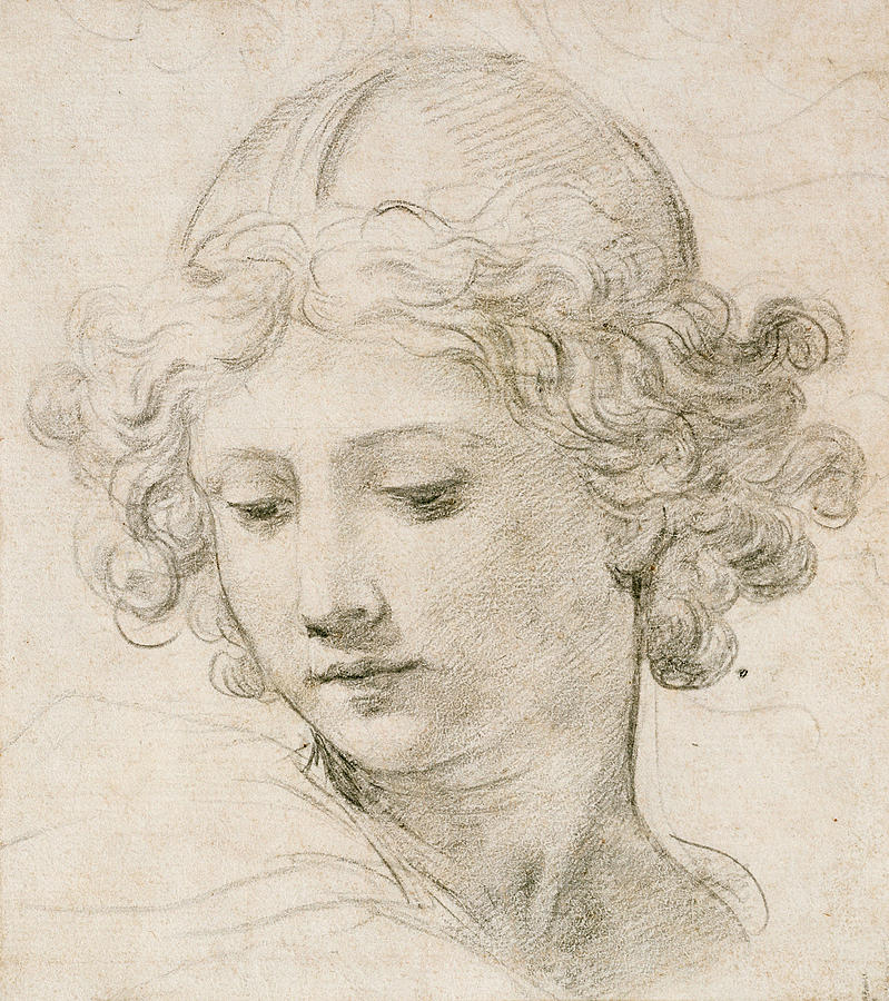 Pietro Da Cortona Drawing - Head of an Angel by Pietro da Cortona