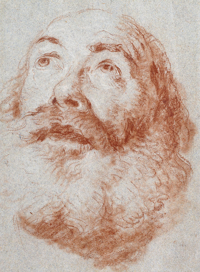 Head of an Old Man looking up Drawing by Giovanni Battista Tiepolo