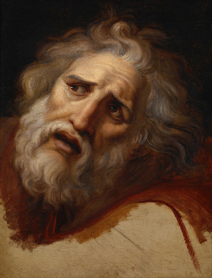 Head of Laocoon Painting by Andrea Appiani