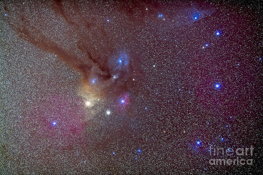 Head Of Scorpius With Celestial Deep Photograph by Alan Dyer