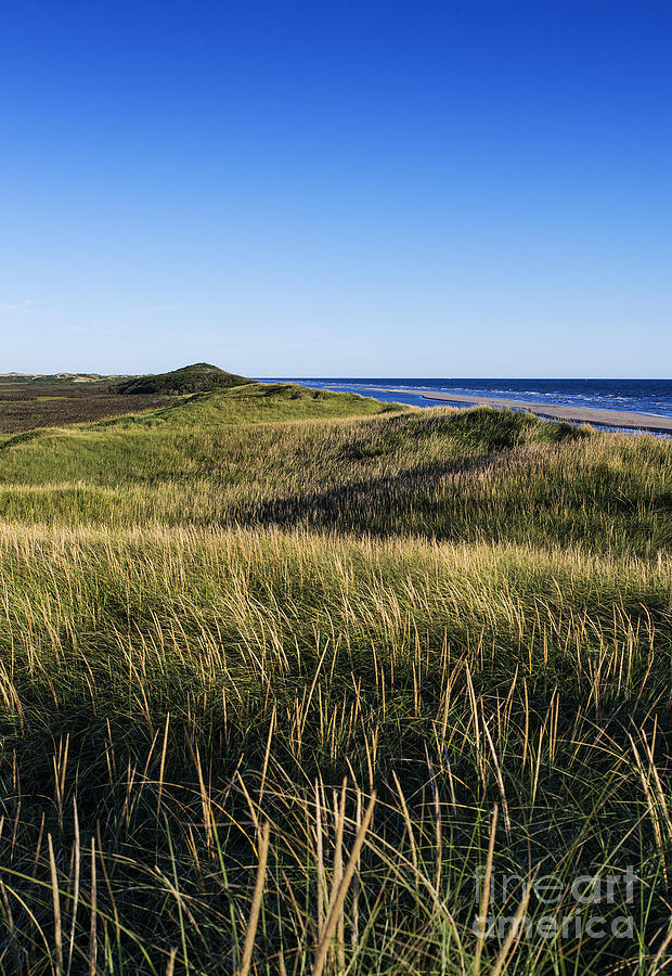 Head of the meadow beach photograph by john greim fine art america