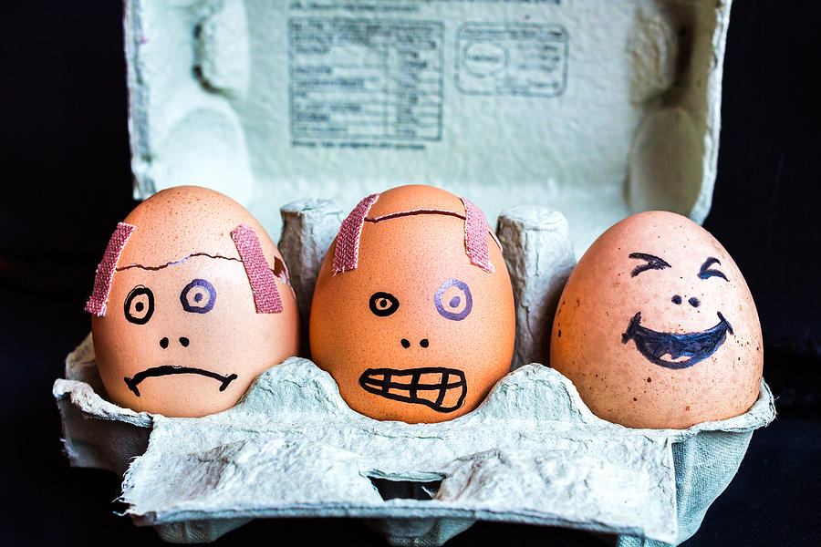 Headache Eggs. Photograph by Gary Gillette