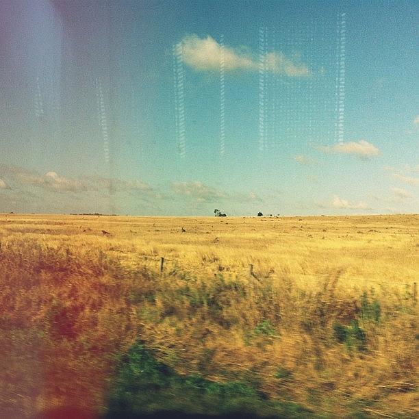 Australia Photograph - Heading Out Into The Boonies // by Stephanie Talbot
