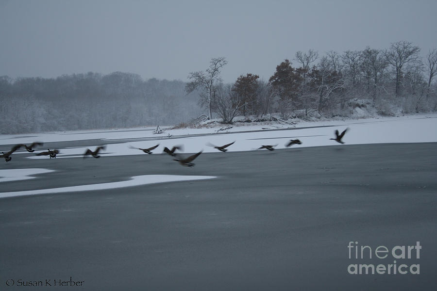 Winter Photograph - Heading Out by Susan Herber