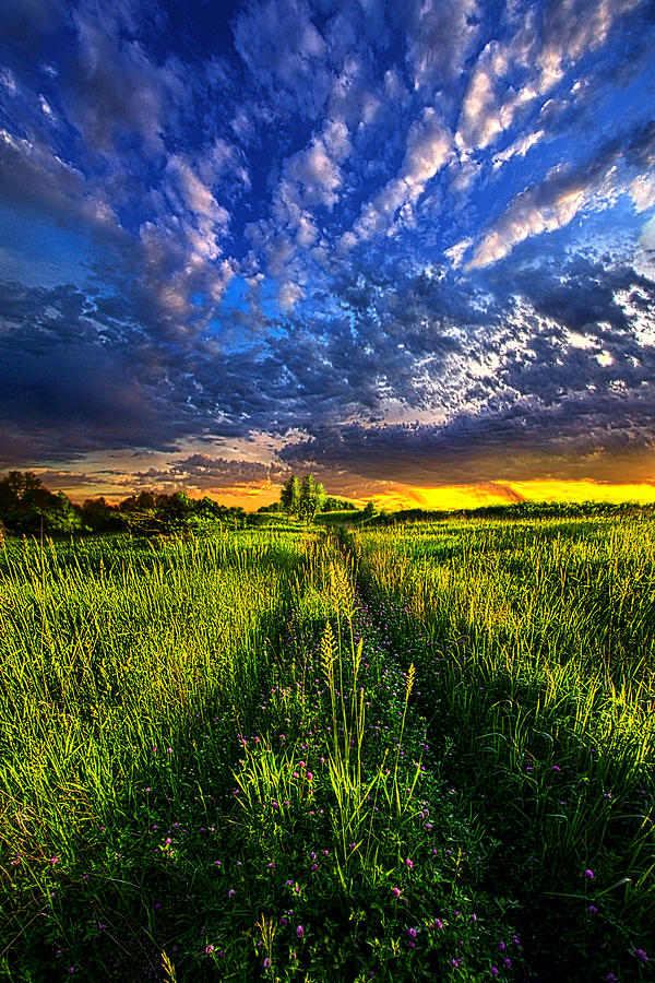 Heading Out to Somewhere Photograph by Phil Koch