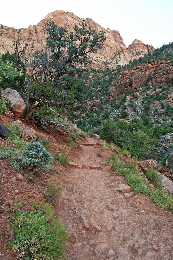 Zion National Park Photograph - Heading Up To Zions Sandstone Cliffs by Her Arts Desire