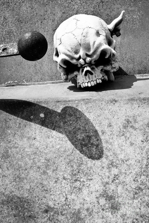 Headknocker Photograph by Lawrence Burry