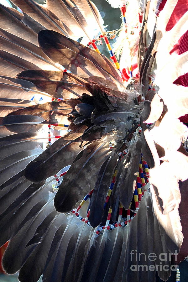 Feather Photograph - Headress by Kathleen Struckle