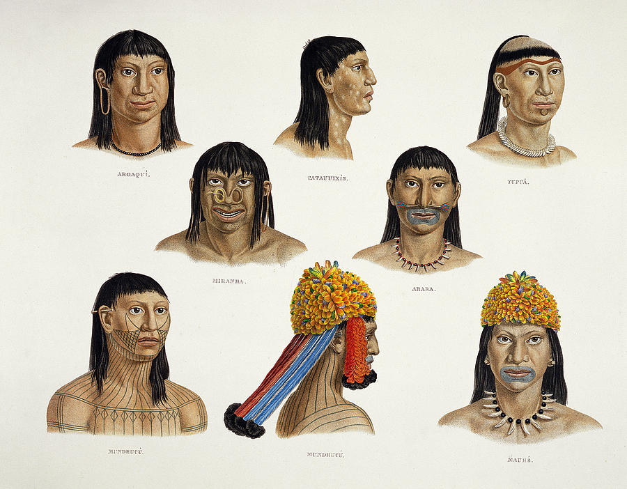 Feather Drawing - Heads Of South American Indians by German School