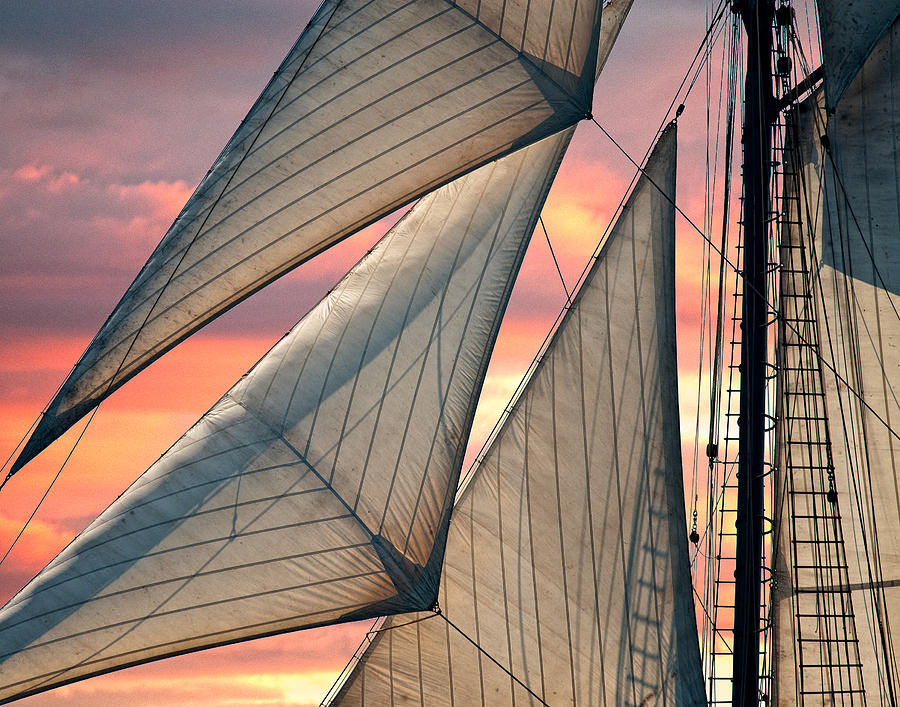 Headsails Photograph by Fred LeBlanc