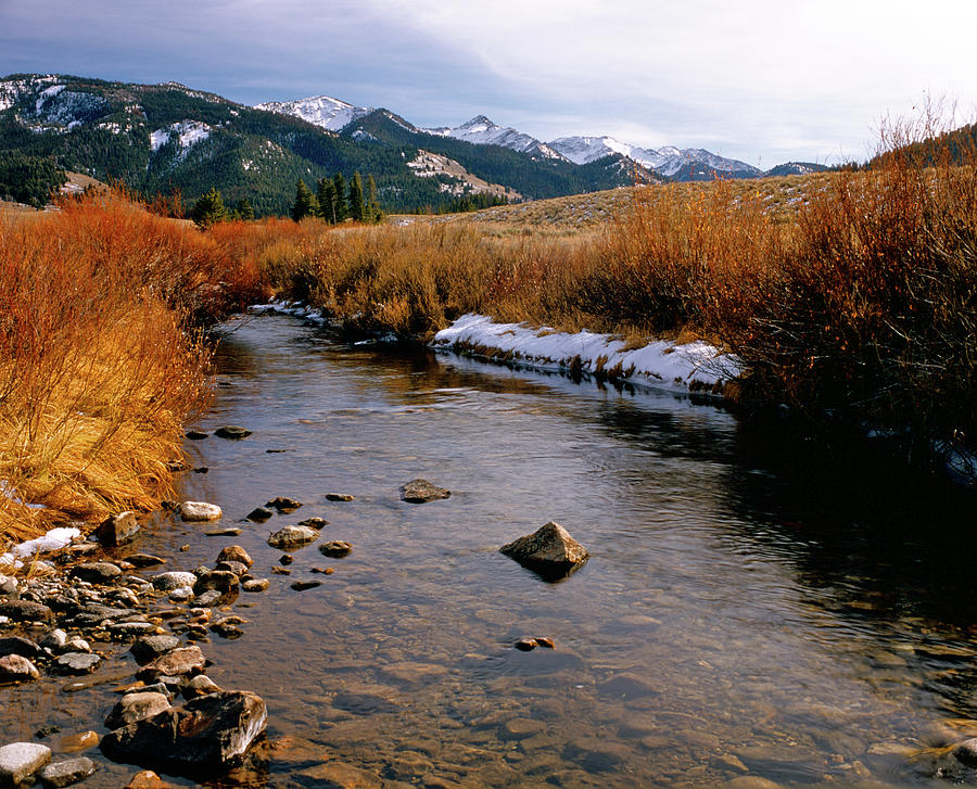 Headwaters River Of No Return Photograph by Ed Riche