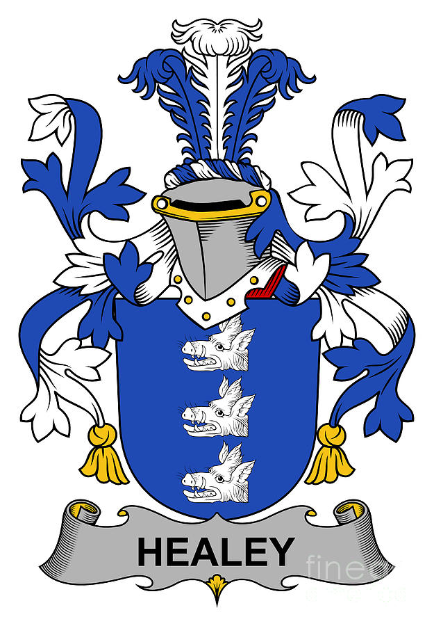 Healey Coat of Arms Irish Digital Art by Heraldry Fine Art America