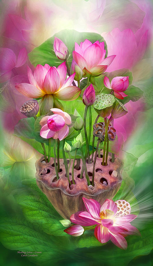 Healing Lotus - Crown Mixed Media by Carol Cavalaris