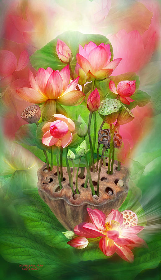 Healing Lotus - Root Mixed Media by Carol Cavalaris