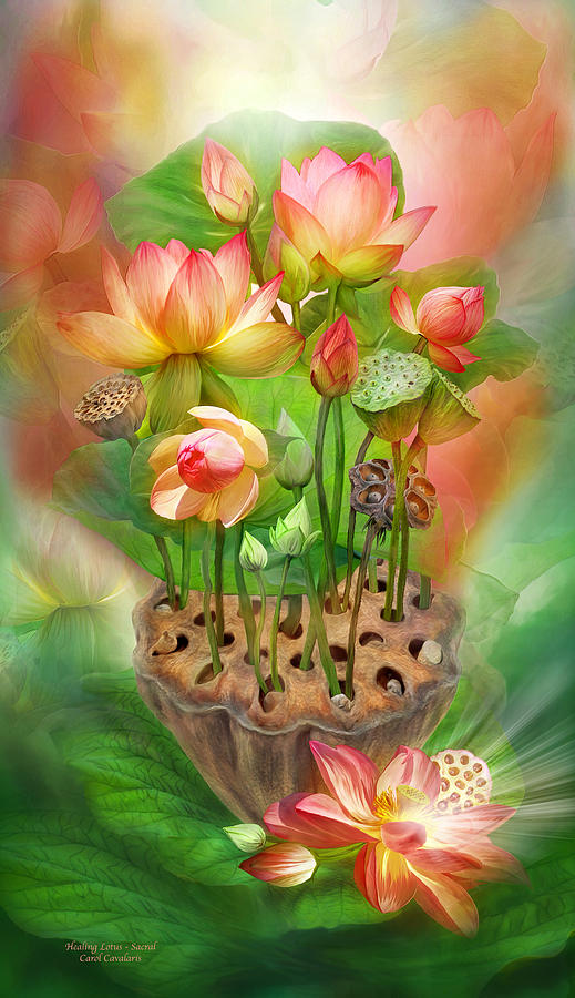 Healing Lotus - Sacral Mixed Media by Carol Cavalaris