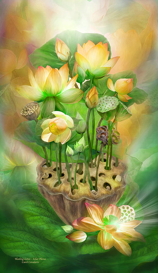 Healing Lotus - Solar Plexus Mixed Media by Carol Cavalaris