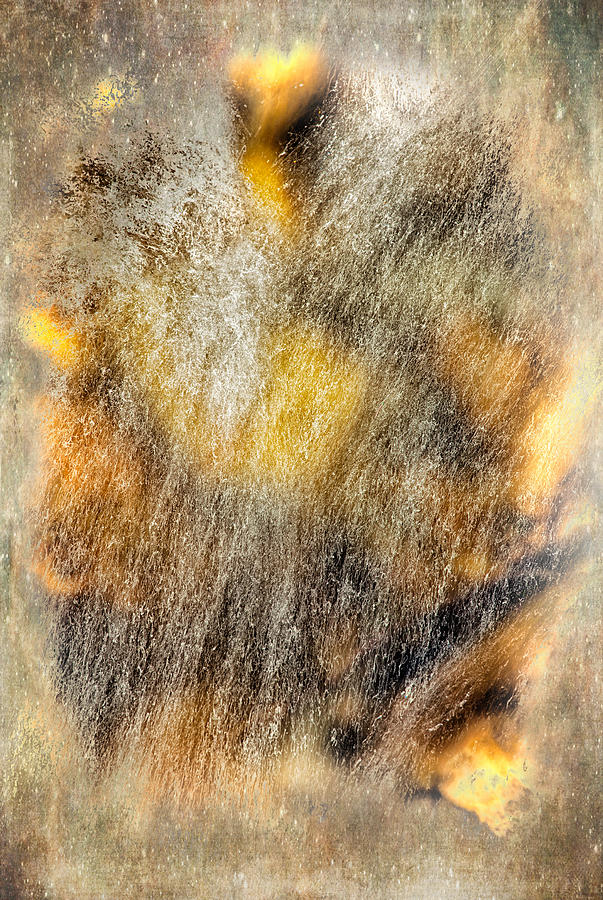Abstract Photograph - Healing Waters by Dan Carmichael