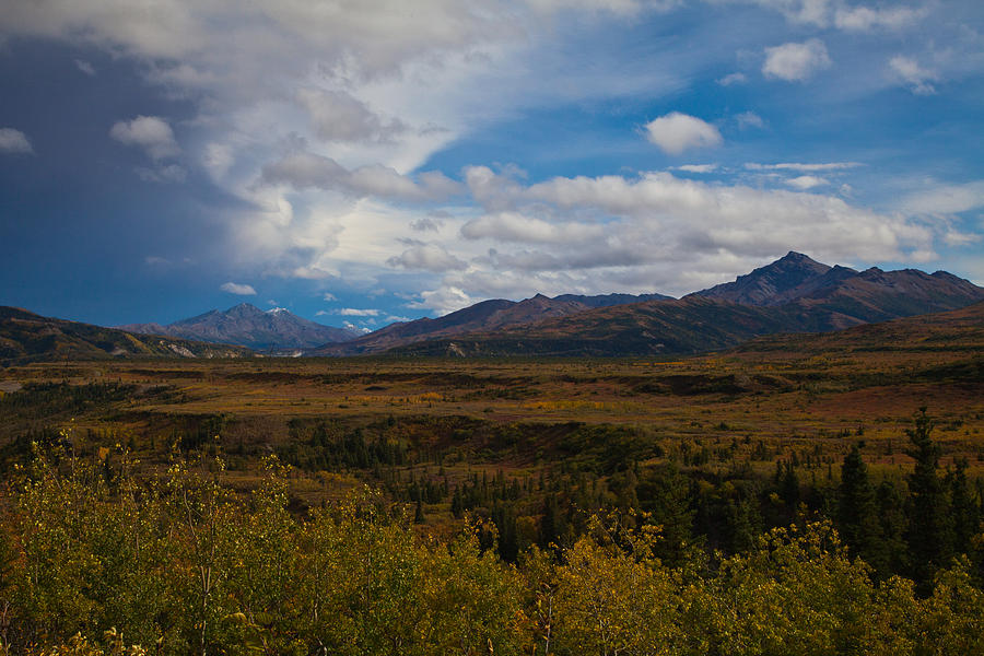 Uncovering The Wild Beauty Of Healy, Alaska: A Comprehensive Guide To ...