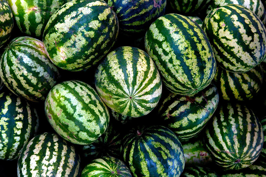 Heap of watermelons, close-up Photograph by Frank Rothe