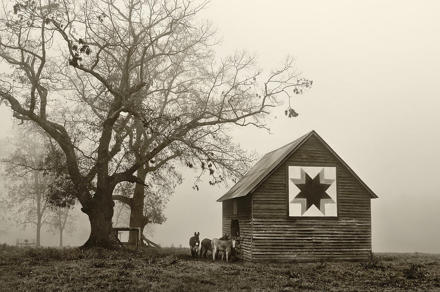Barn Photograph - Heard County Ga by Clayton Brandenburg