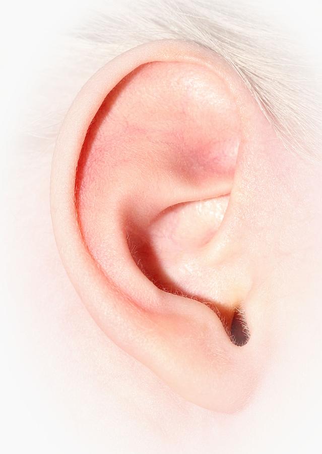 Hearing Ear of Child Photograph by Tracie Schiebel
