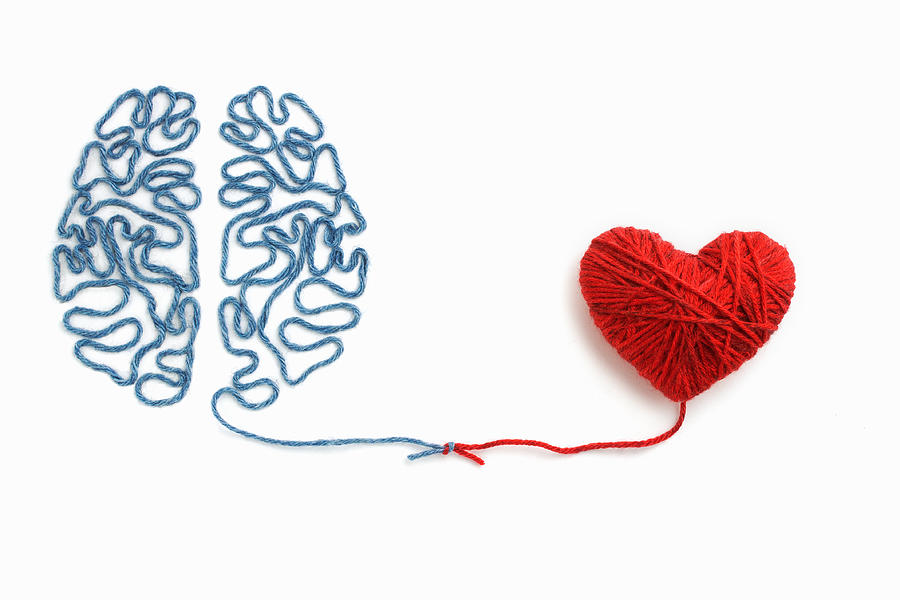 Heart and brain connected by a knot on a white background Photograph by TanyaJoy
