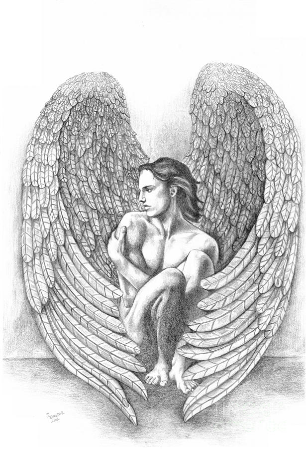 Black And White Drawing - Heart Angel by Dawn Rosendahl