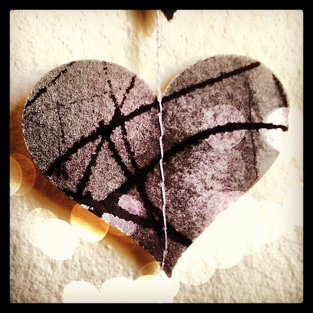 Heart Photograph - #heart by Claire Cohen