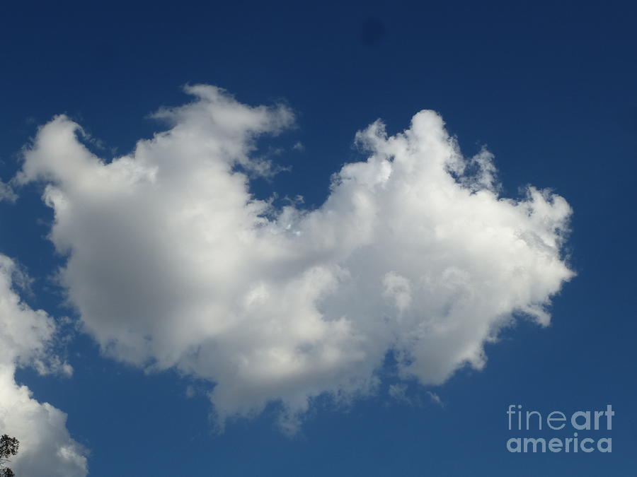 Heart Clouds Bell Rock Vortex Photograph by Mars Besso