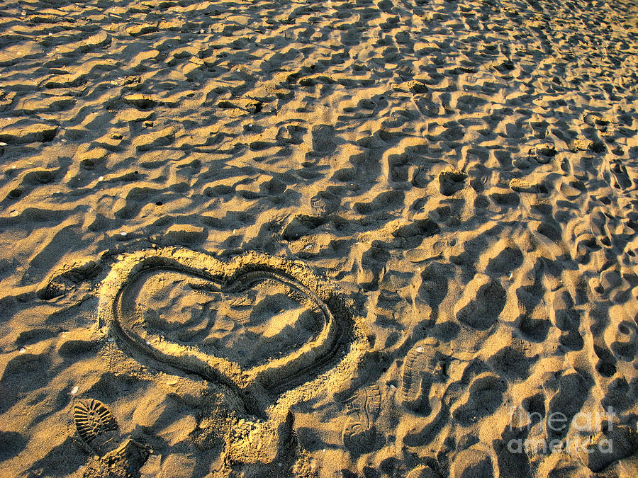 Heart for Valentines Day Photograph by Daliana Pacuraru