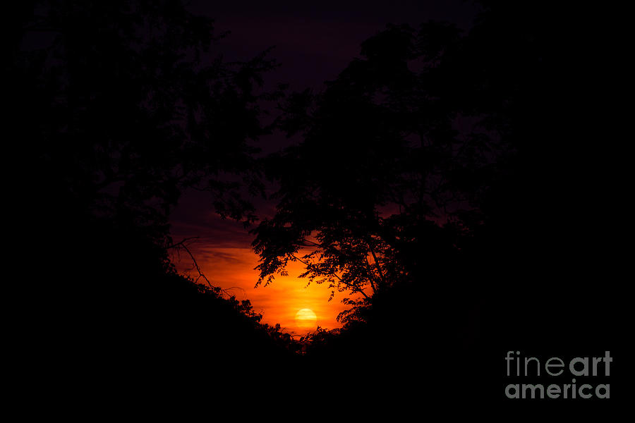 Heart Framed Sunset Photograph by Tammy Chesney