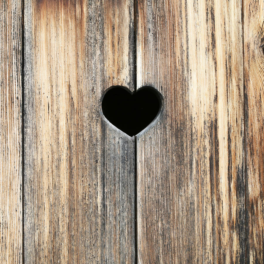 Valentines Day Photograph - Heart in Wood by Brooke T Ryan