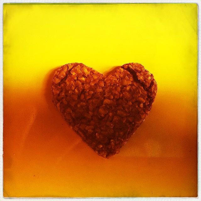 Dog Photograph - #heart #love * A Peanut Butter Heart by Niels Koschoreck