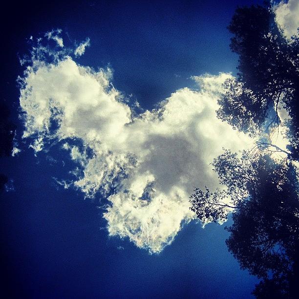 Summer Photograph - #heart #love #instalove #instadaily by Julia Goldberg