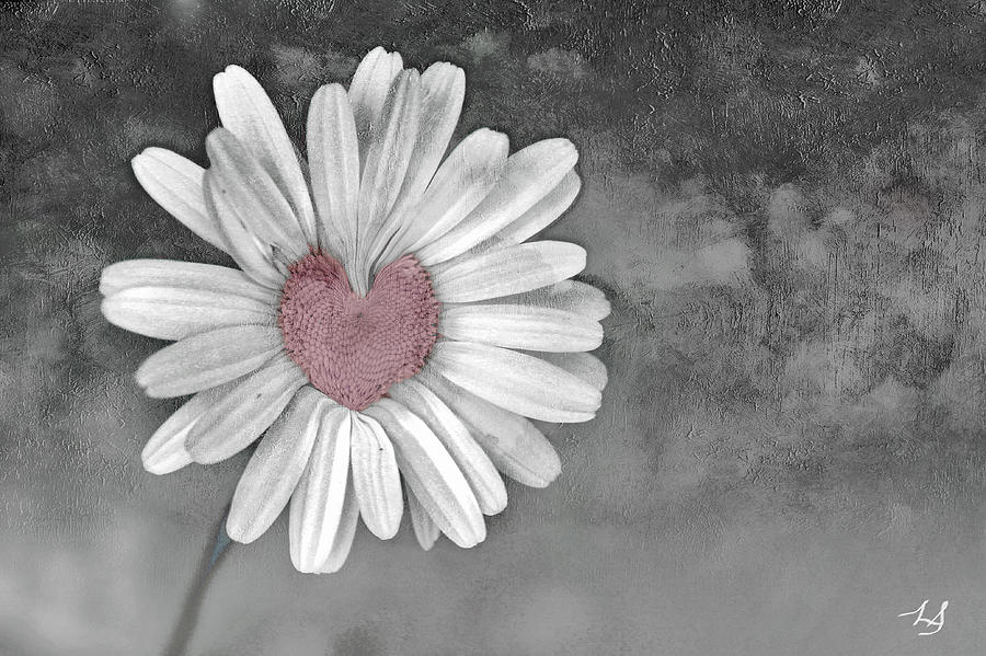 Flower Photograph - Heart Of A Daisy by Linda Sannuti