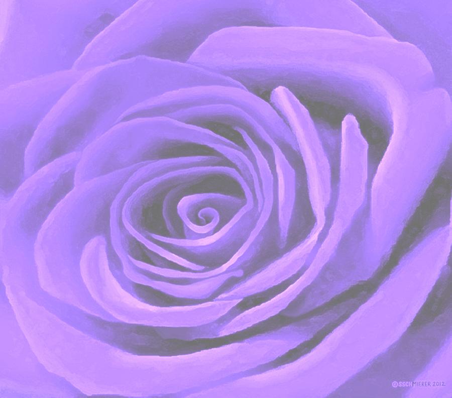 Heart Of A Periwinkle Rose by SophiaArt Gallery