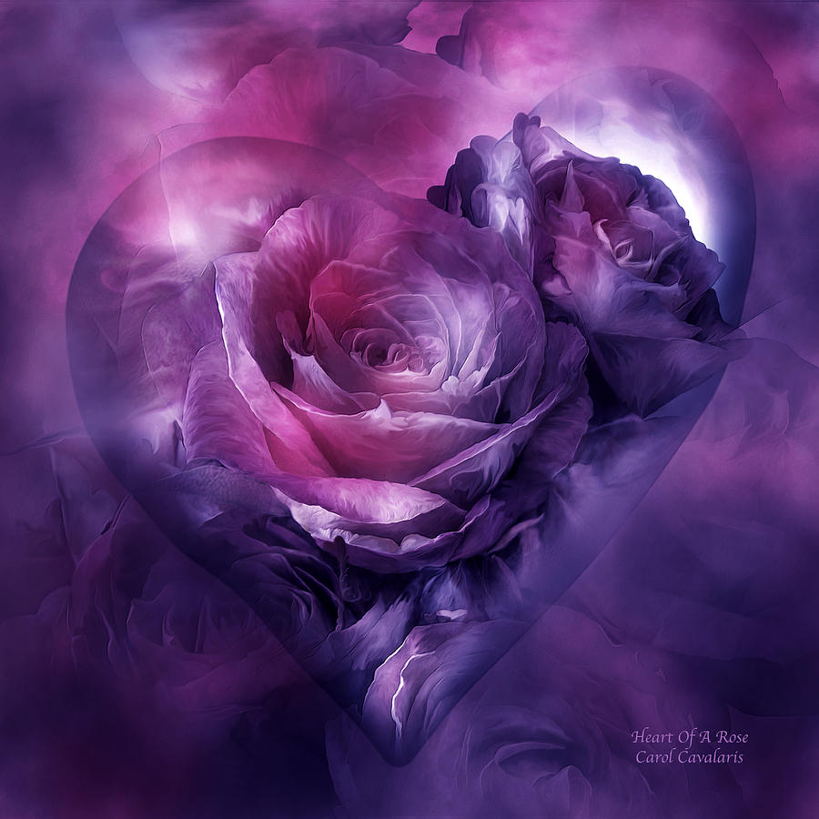 Heart Of A Rose - Burgundy Purple Mixed Media by Carol Cavalaris