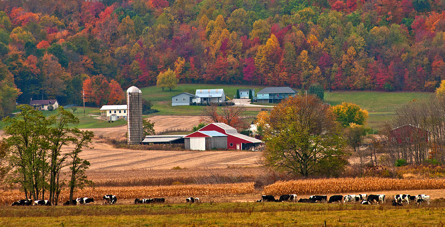 Heart Of America Photograph by Randall Branham