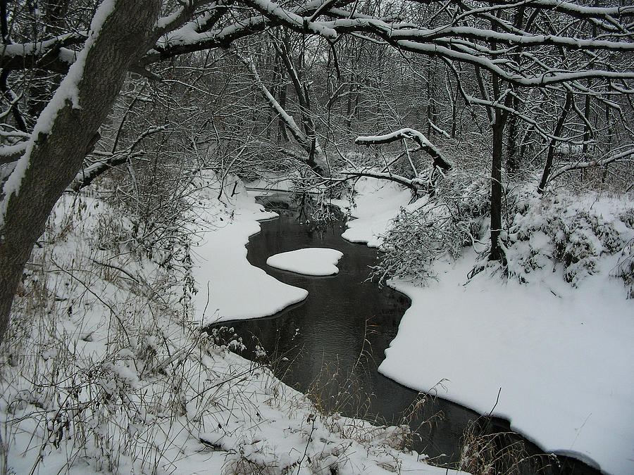 Heart of Crow Creek Photograph by Diane Porter - Fine Art America